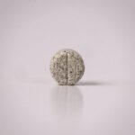 Zen Mints - Fuji Apple - Single